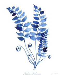 Indigo Botanical 9