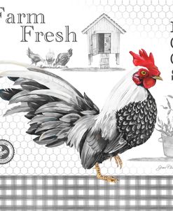 Plaid Country Rooster A