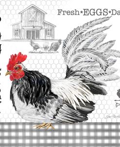 Plaid Country Rooster C