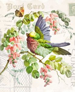 Bird and Blooms A