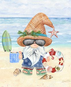 Coastal Winter Gnome