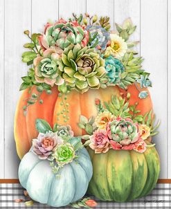 Pumpkins With Succulents A