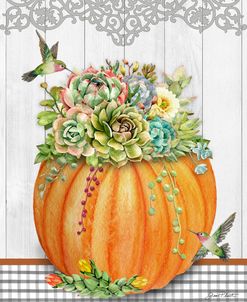 Pumpkins With Succulents C