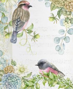 Songbirds A