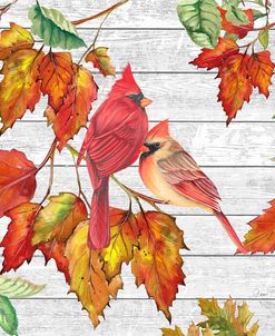 Fall Cardinals B