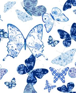 Beautiful Blue Butterflies A