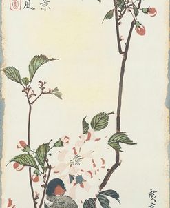 JP2171_Vintage Asian Blossoms-A