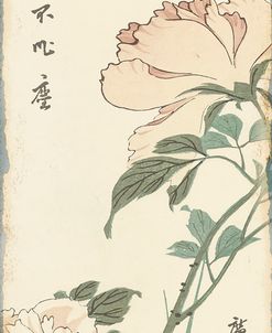 JP2172_Vintage Asian Blossoms-B