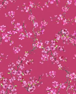 JP2336_Cherry Blossom