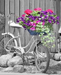 Bike With Flower Basket B