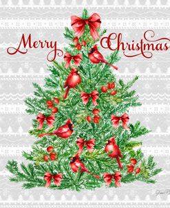Red Cardinal Christmas Beauty B