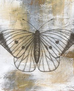 Gold And Grey Textures Butterfly A2