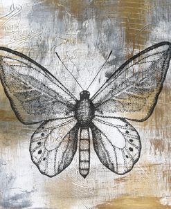 Gold And Grey Textures Butterfly A3