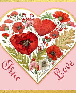 Valentine Poppy Heart A