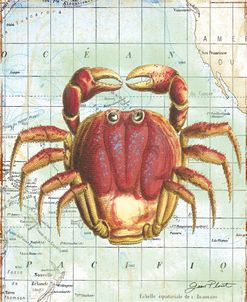 Nautical Journey-D-Crab