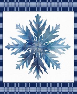 Blue Snowflake Christmas C