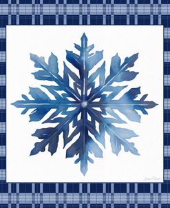 Blue Snowflake Christmas D