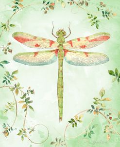 Dragonfly with Rose Hips A