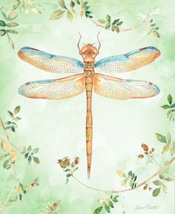 Dragonfly with Rose Hips B