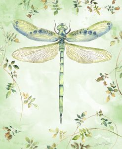 Dragonfly With Rose Hips C