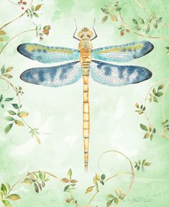 Dragonfly With Rose Hips D