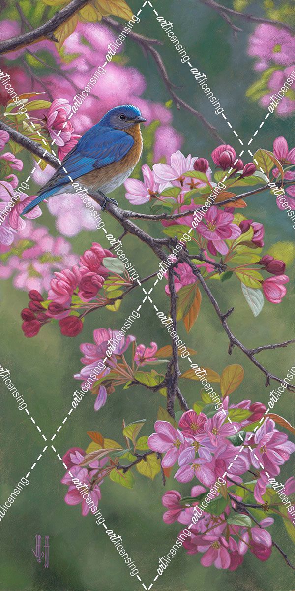 Bluebird Pink Blossoms