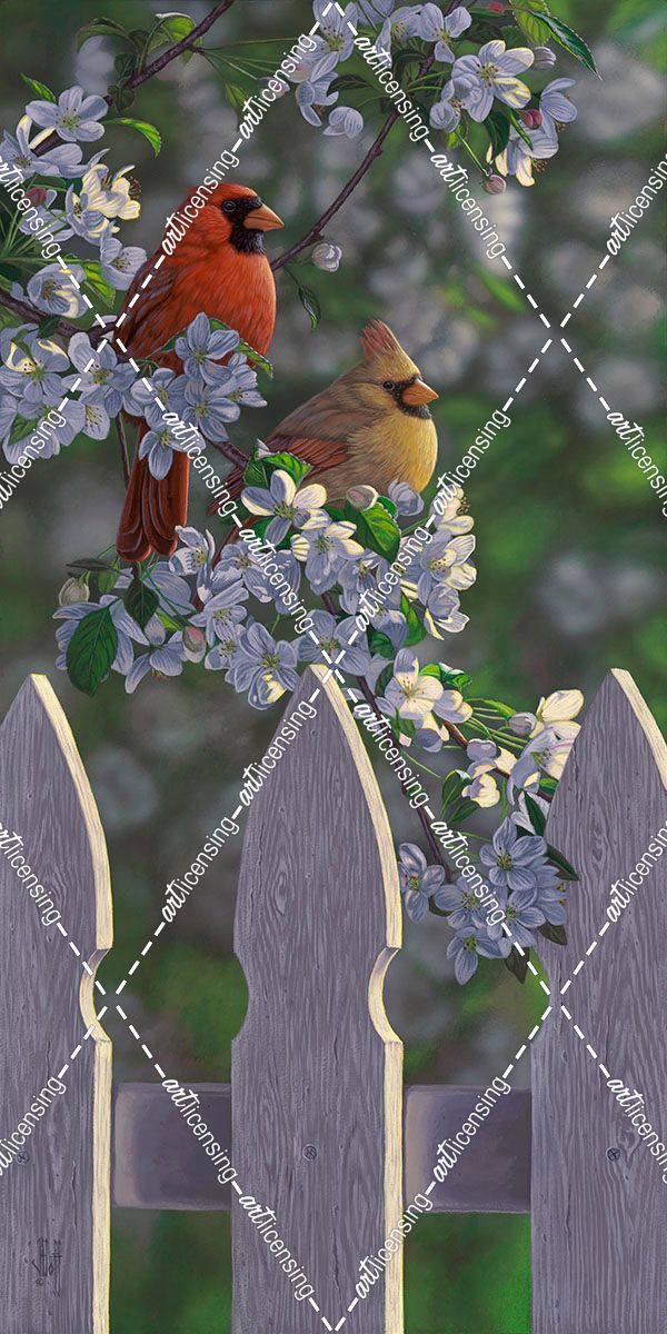 Cardinals and Apple Blossoms