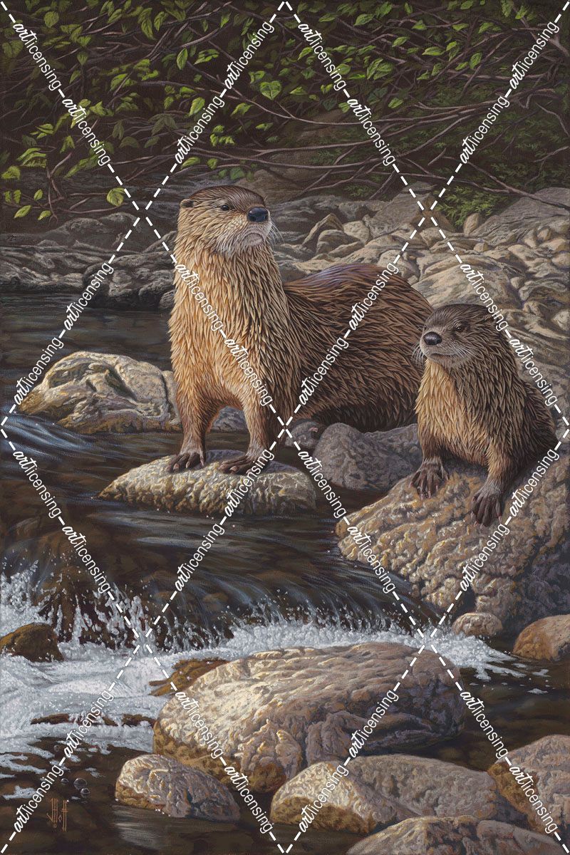 Otter Tail River Otters