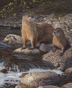 Otter Tail River Otters