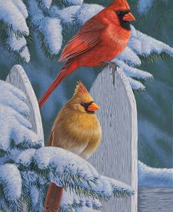 Snow Cardinals