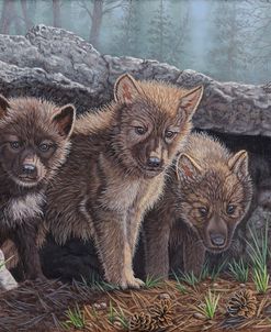 Wolf Pup Trio