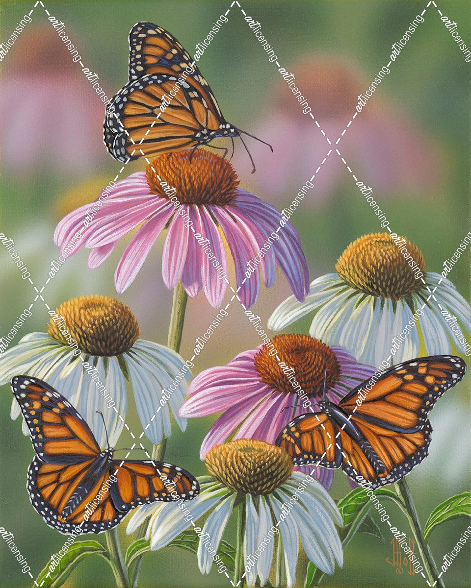 Three Monarchs