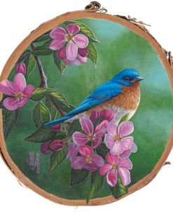 Bluebird Birch