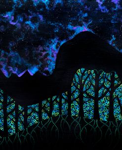 Symbiosis