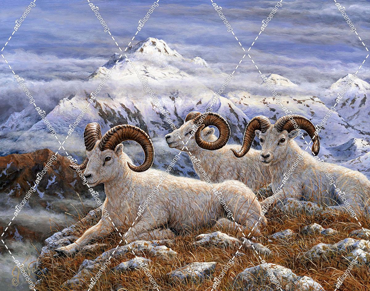 Denali Rams