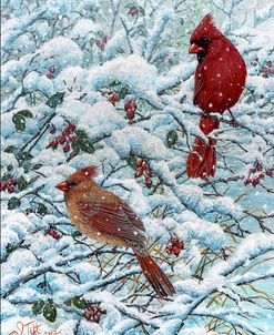 Winter Cardinal Painting