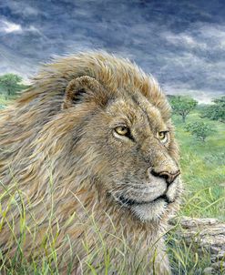 Lion Painting Finished 2