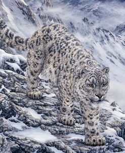 Snow Leopard