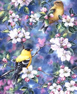 Gold Finch & Blossoms