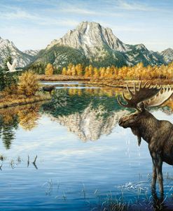 Bull Moose