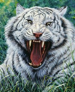 White Tiger 2