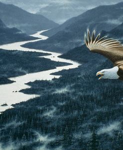 On The Silent Wings Of Freedom