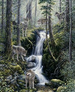 Cascade Wolves