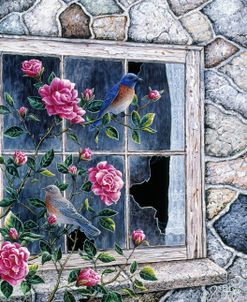 Bluebirds In Window
