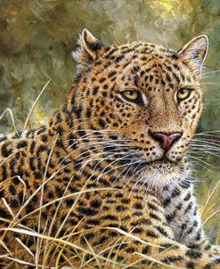 Leopard Portrait