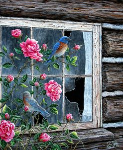 Roses & Bluebirds