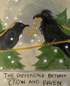 The Difference Between Crow And Raven