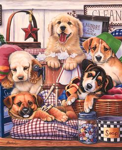 Suds and Pups