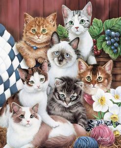 Cuddly Kittens