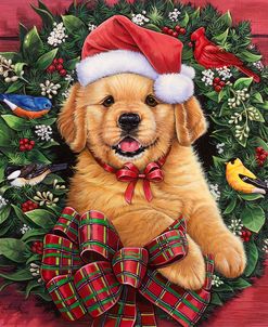 Christmas Puppy